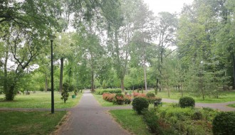 Dudova šuma i dalje u haosu