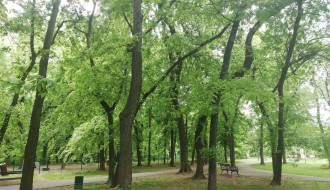 Dudova šuma i dalje u haosu