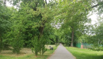 Dudova šuma i dalje u haosu