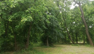 Dudova šuma i dalje u haosu