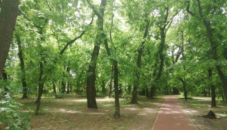 Dudova šuma i dalje u haosu