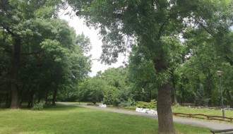 Dudova šuma i dalje u haosu