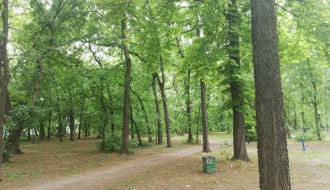 Dudova šuma i dalje u haosu