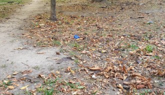 Neuredne zelene površine na Prozivci