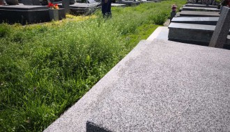 Nepokošena trava na Bajskom groblju