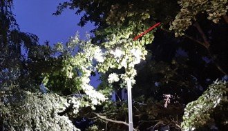 Skraćivanje grana iznad košarkaškog terena u Dudovoj šumi