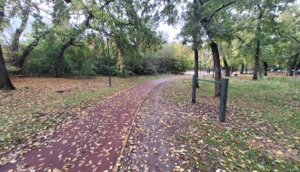 Sređivanje Dudove šume (izmet, kondomi, igle)