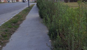 Bicklistička staza preko puta Vetzavoda u Aleksandrovu zarasla u korov