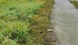 Bicklistička staza preko puta Vetzavoda u Aleksandrovu zarasla u korov