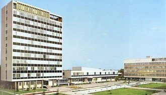 Neplanska sadnja oko Nove opštine