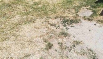 Povreda dva dečaka na brdu na Prozivci