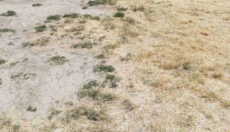 Povreda dva dečaka na brdu na Prozivci