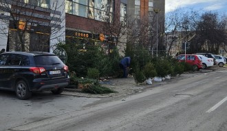 Prodaja jelki sa parking površina kod pijace na Prozivci