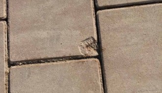 Oštećene nove kocke u velikom delu groblja Dudova šuma