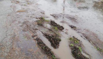 Zapostavljena Kalnička ulica u Kertvarošu