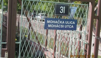 Psi lutalice u Mohačkoj ulici