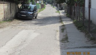 Psi lutalice u Mohačkoj ulici