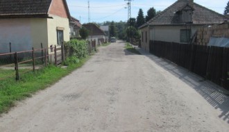 Psi lutalice u Mohačkoj ulici