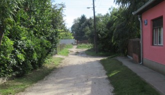 Psi lutalice u Mohačkoj ulici