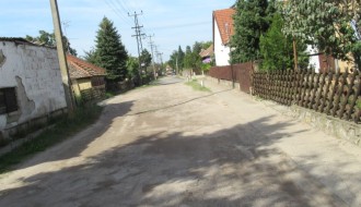 Psi lutalice u Mohačkoj ulici