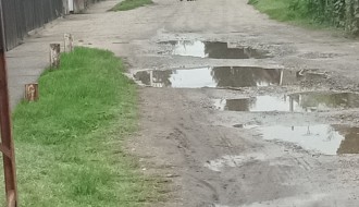 Psi lutalice u Mohačkoj ulici