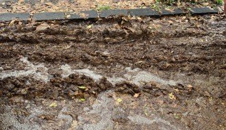 Ulica Ivana Gorana Kovačića blatnjava od lišća