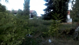 I nakon 2 meseca ambrozija nije pokosena u Kireskoj