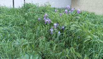 Dočekasmo 1. maj u preriji