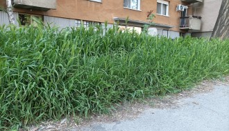 Dočekasmo 1. maj u preriji