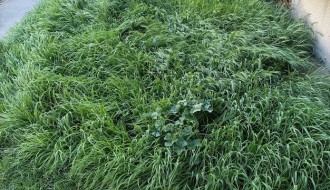 Dočekasmo 1. maj u preriji