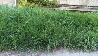 Dočekasmo 1. maj u preriji