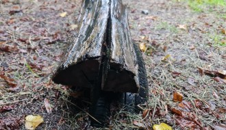 Dečje igralište u Velikom Radanovcu u katastrofalnom stanju