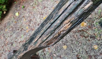 Dečje igralište u Velikom Radanovcu u katastrofalnom stanju