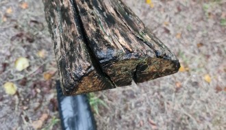 Dečje igralište u Velikom Radanovcu u katastrofalnom stanju