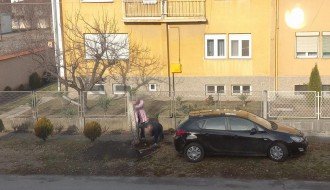 Presuda brezi u ulici Koste Abraševića