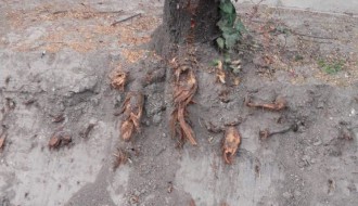 Čemu služi iskopani jarak u ulici Hanibala Lučića?