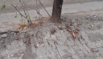 Čemu služi iskopani jarak u ulici Hanibala Lučića?