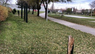 Da li će teretana na otvorenom u parku na Prozivci biti obnovljena?