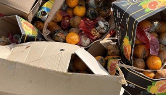 Prodavnica bacila smece na put (Ulica muškatla)