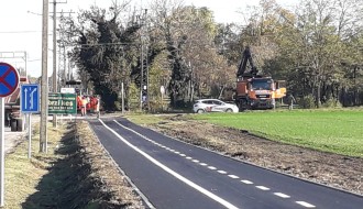 Uništavanje drveća (Mali Bajmok)