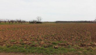 Smrad od đubrenja njiva u Malom Bajmoku