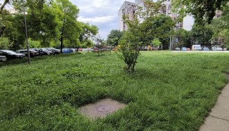 (Ne)Košenje trave u gradu