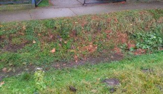 Kanal ispred obdaništa u Tavankutu