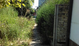 Prave džungle su lepe, ali subotička je ružna