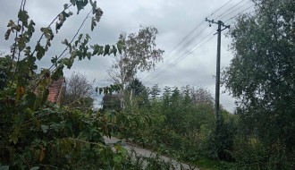 Bezbednost u Žabnjaku (Bajmok)