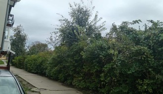 Bezbednost u Žabnjaku (Bajmok)