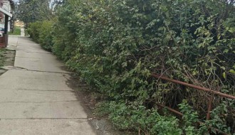 Bezbednost u Žabnjaku (Bajmok)