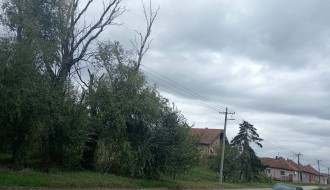 Bezbednost u Žabnjaku (Bajmok)