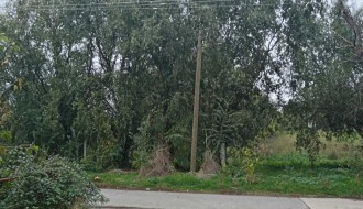 Bezbednost u Žabnjaku (Bajmok)