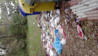 Smeće na Paliću